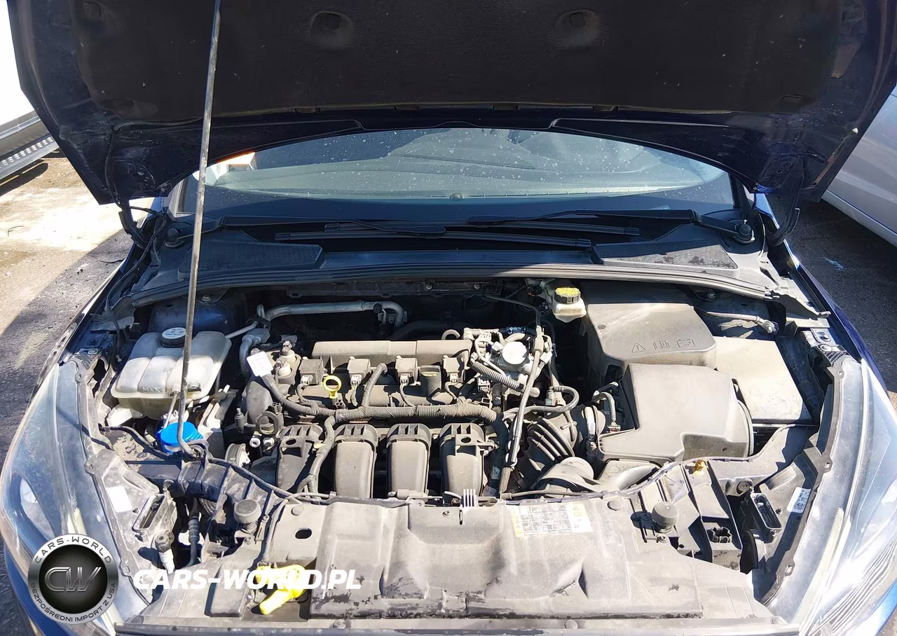 2017 Ford Focus Sel VIN:1FADP3H21HL214502 - 10