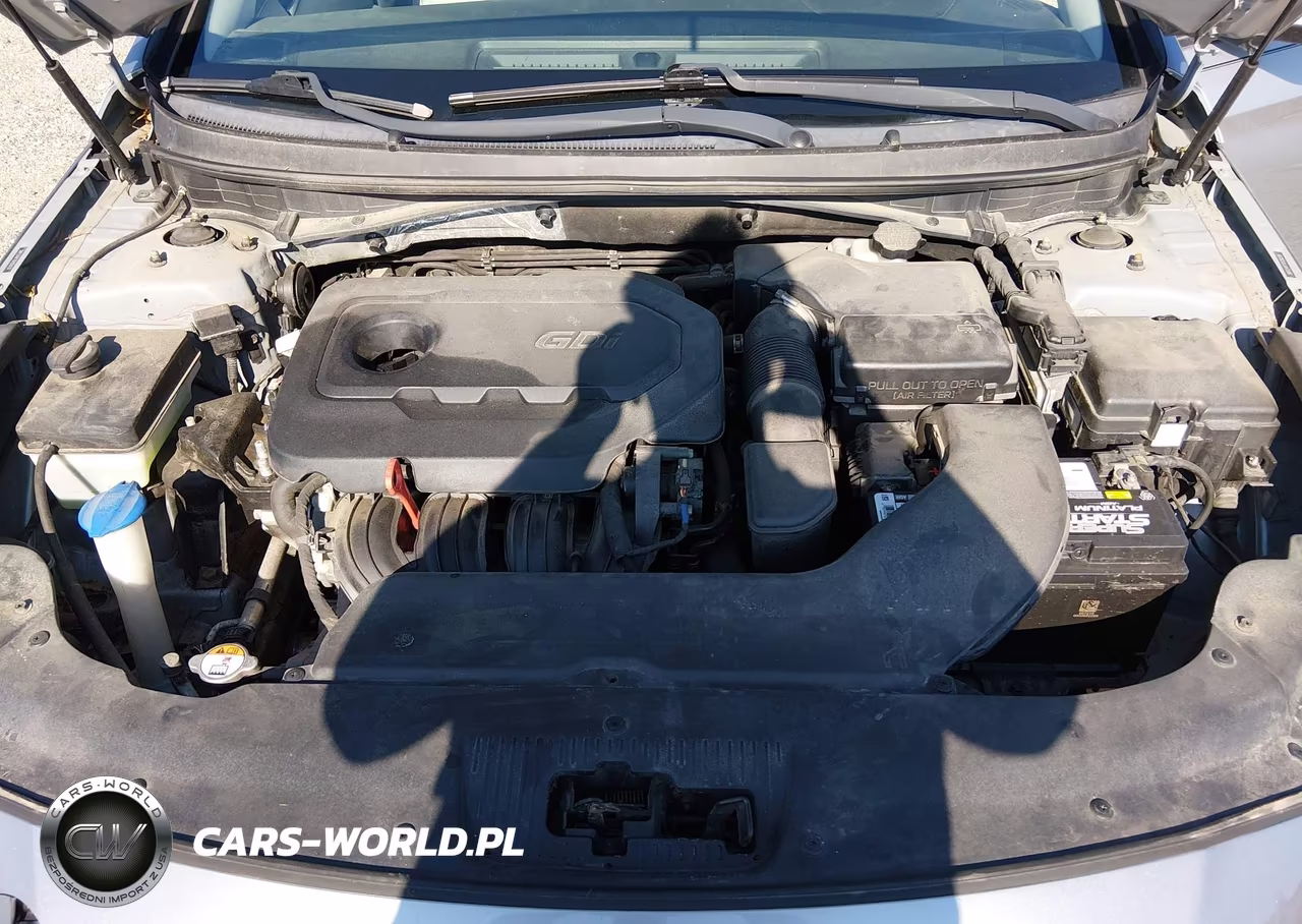 2016 Hyundai Sonata Se VIN:5NPE24AF7GH350233 - 10