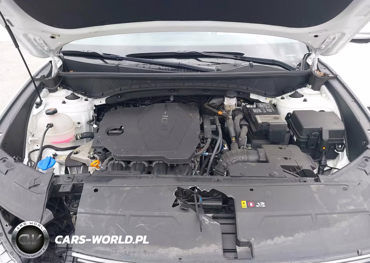 2024 Hyundai Tucson Limited VIN:5NMJECDE5RH431119 - 10