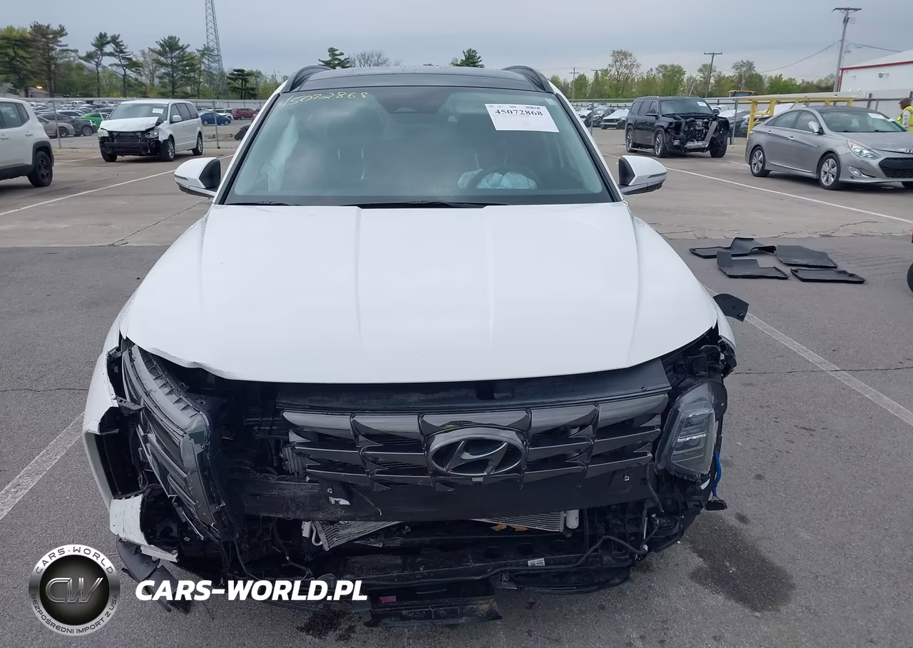 2024 Hyundai Tucson Limited VIN:5NMJECDE5RH431119 - 13