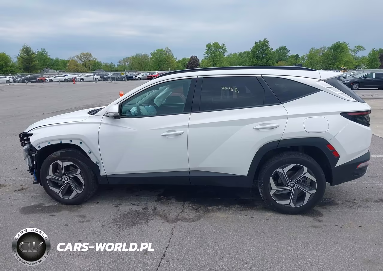 2024 Hyundai Tucson Limited VIN:5NMJECDE5RH431119 - 15