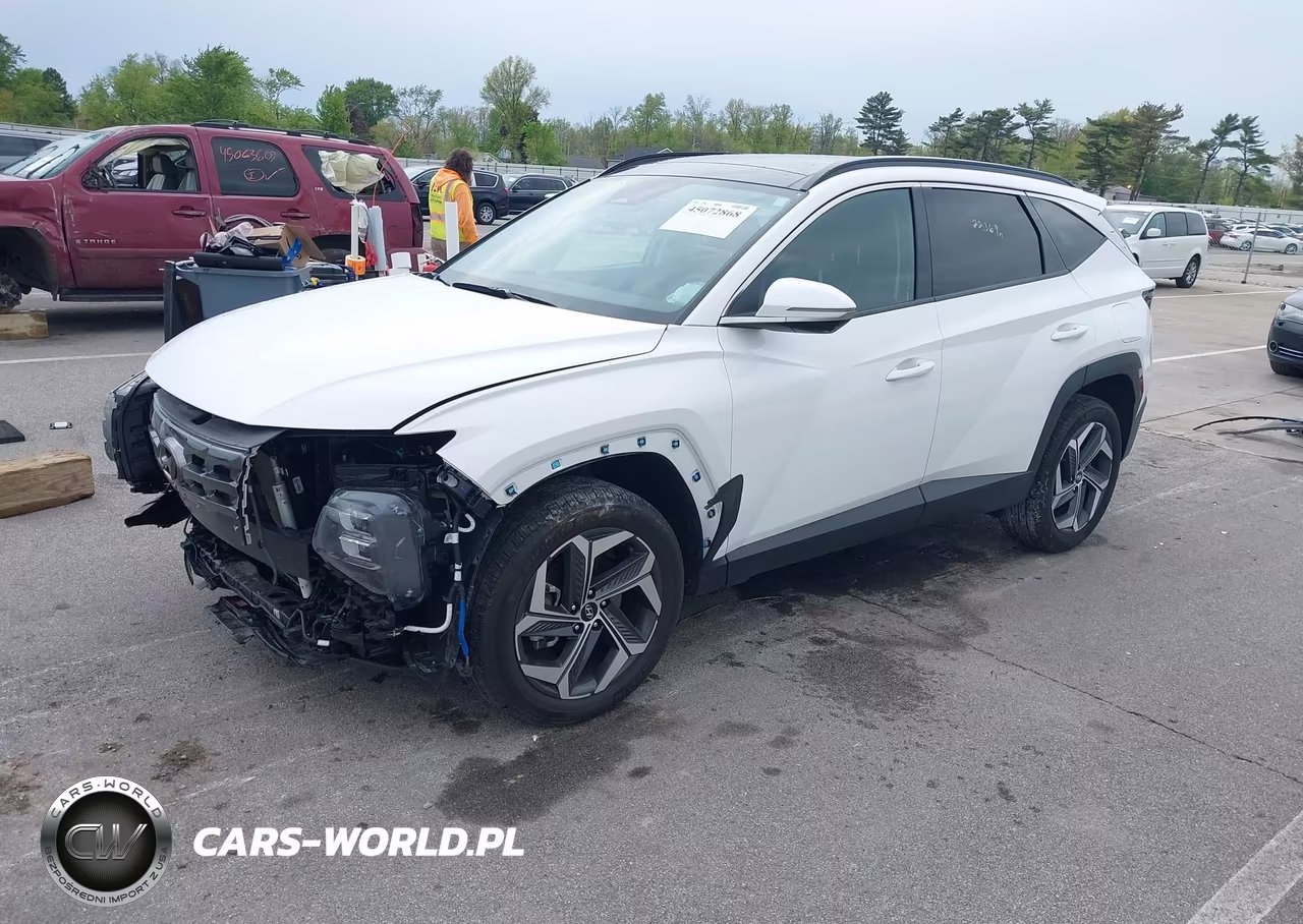 2024 Hyundai Tucson Limited VIN:5NMJECDE5RH431119 - 2