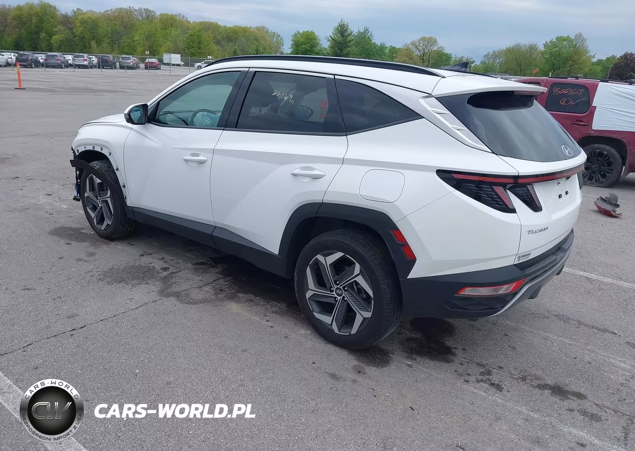 2024 Hyundai Tucson Limited VIN:5NMJECDE5RH431119 - 3