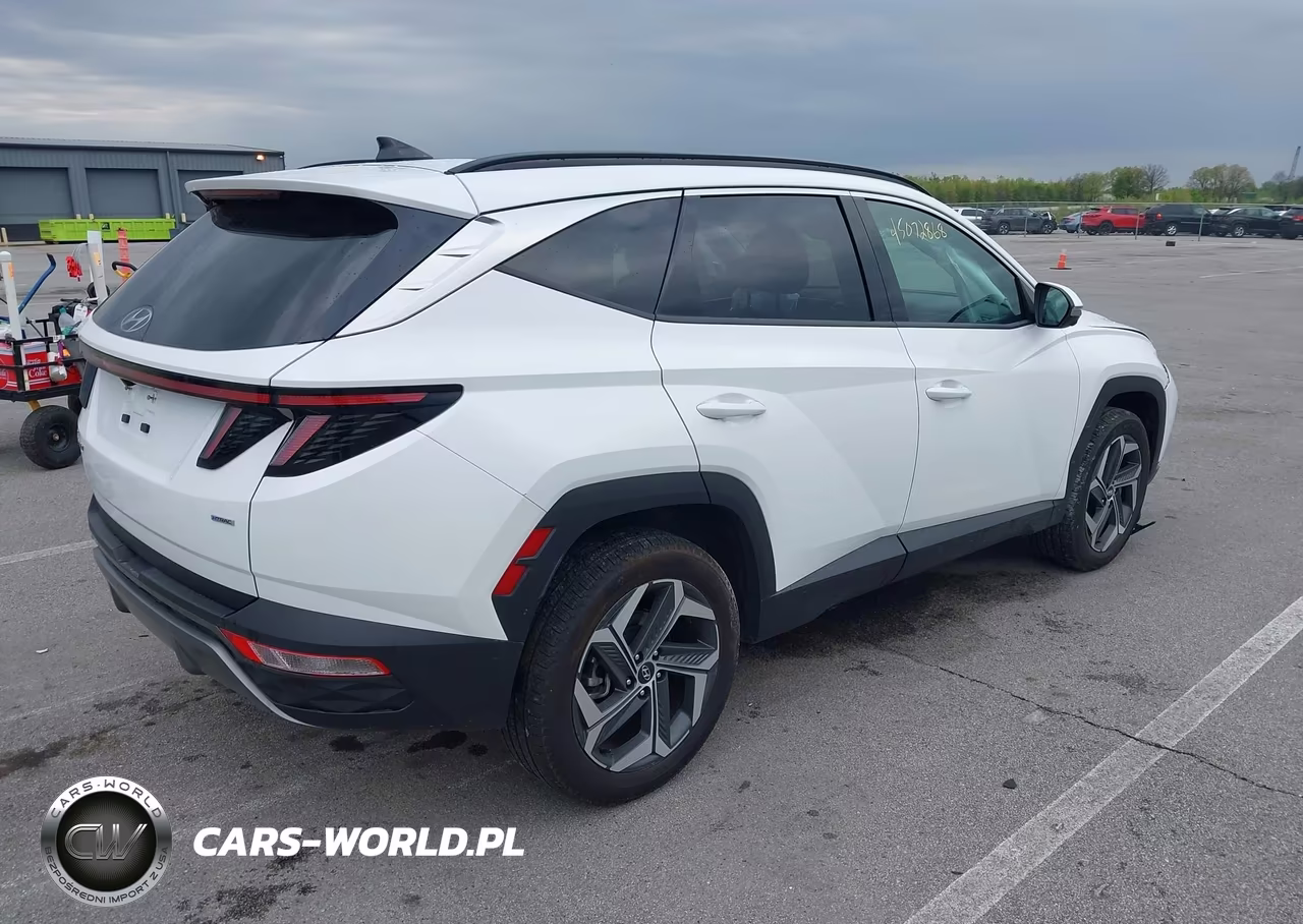 2024 Hyundai Tucson Limited VIN:5NMJECDE5RH431119 - 4