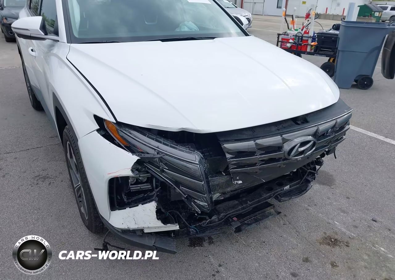 2024 Hyundai Tucson Limited VIN:5NMJECDE5RH431119 - 6