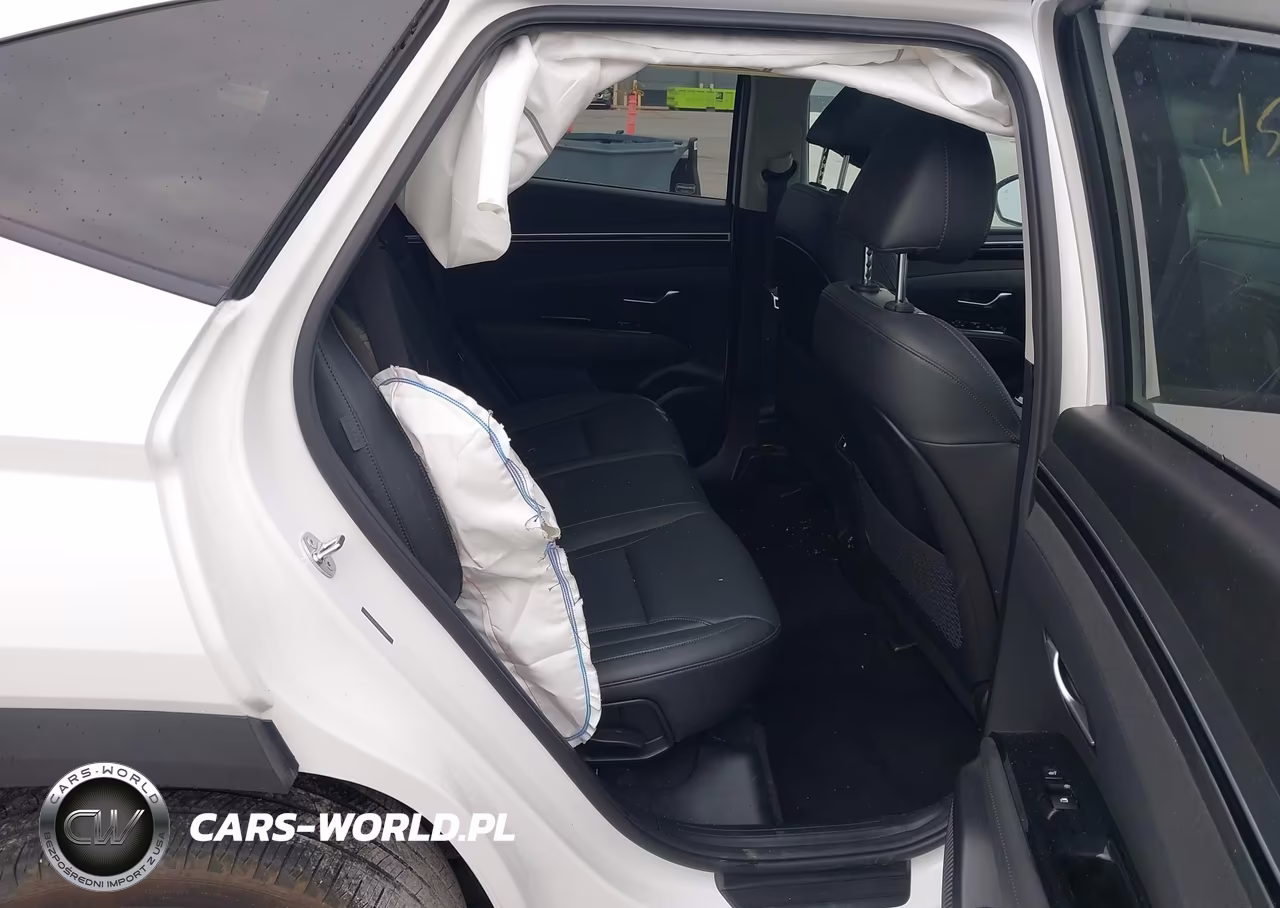 2024 Hyundai Tucson Limited VIN:5NMJECDE5RH431119 - 8