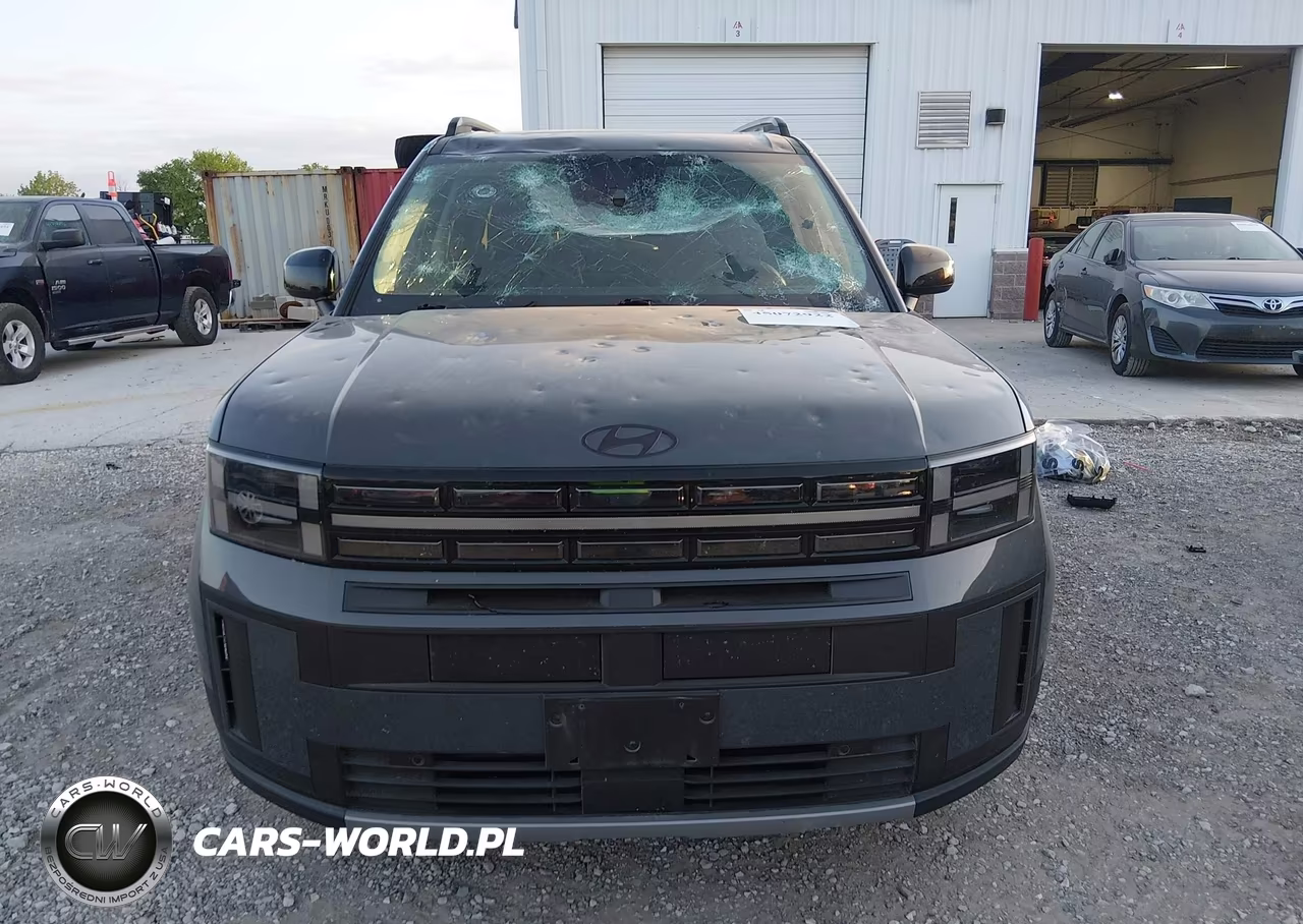 2025 Hyundai Santa Fe Xrt VIN:5NMP3DGL2SH131172 - 12