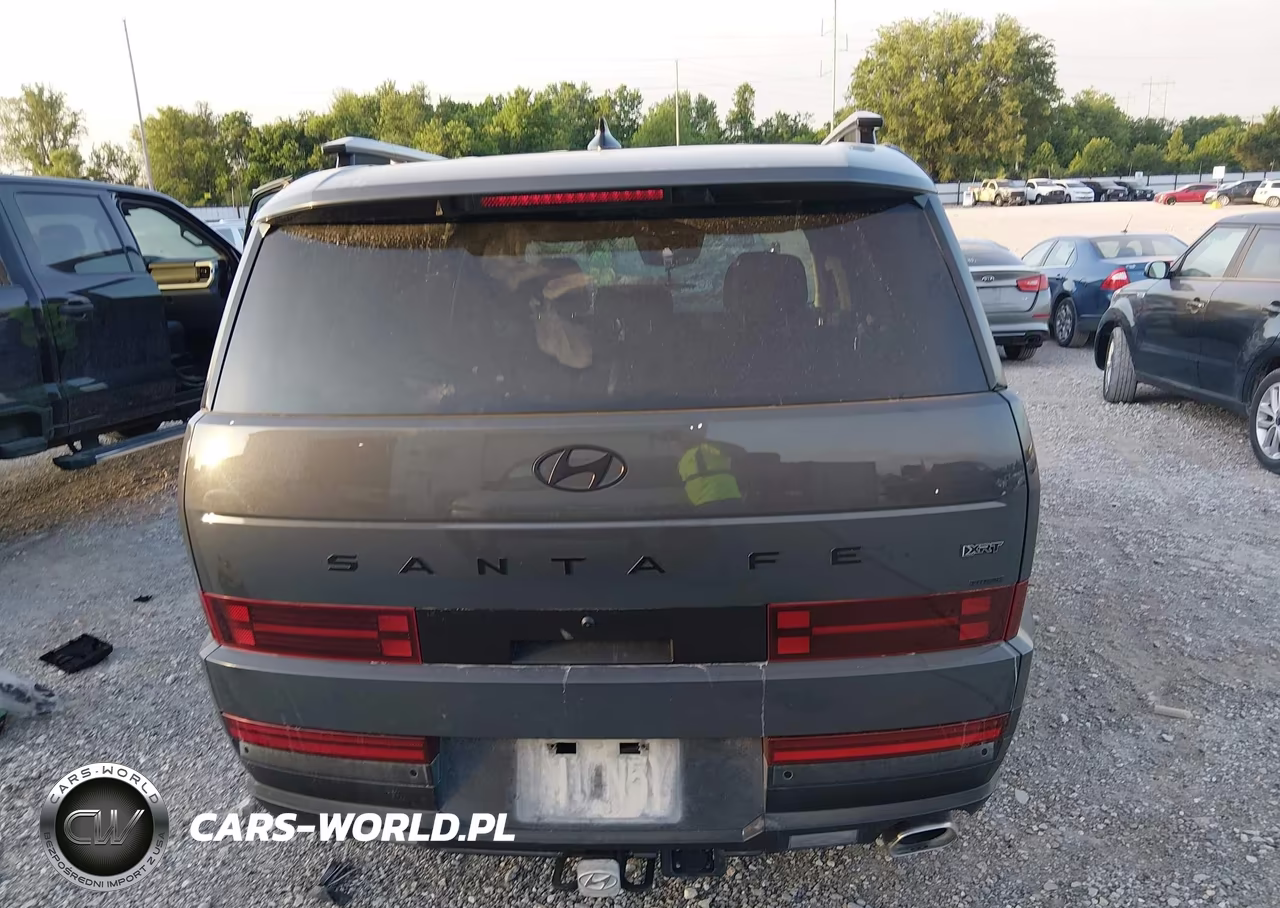 2025 Hyundai Santa Fe Xrt VIN:5NMP3DGL2SH131172 - 16