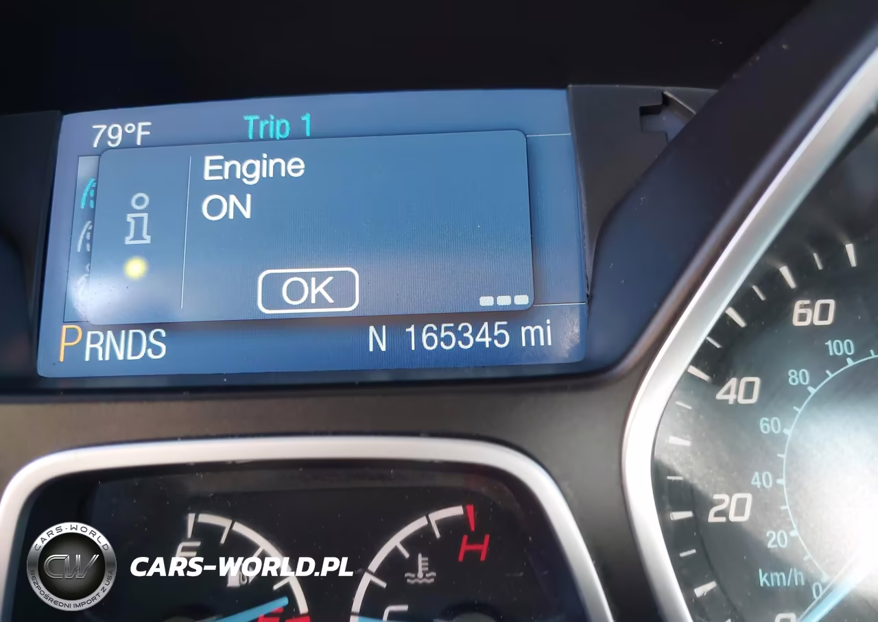 2014 Ford Focus Se VIN:1FADP3F27EL299540 - 16