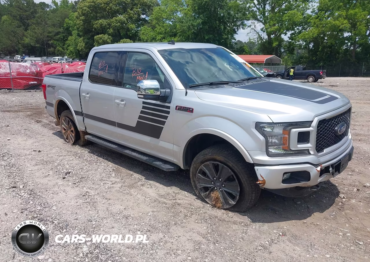 2019 Ford F-150 Xlt – zdjęcie 1 z 11