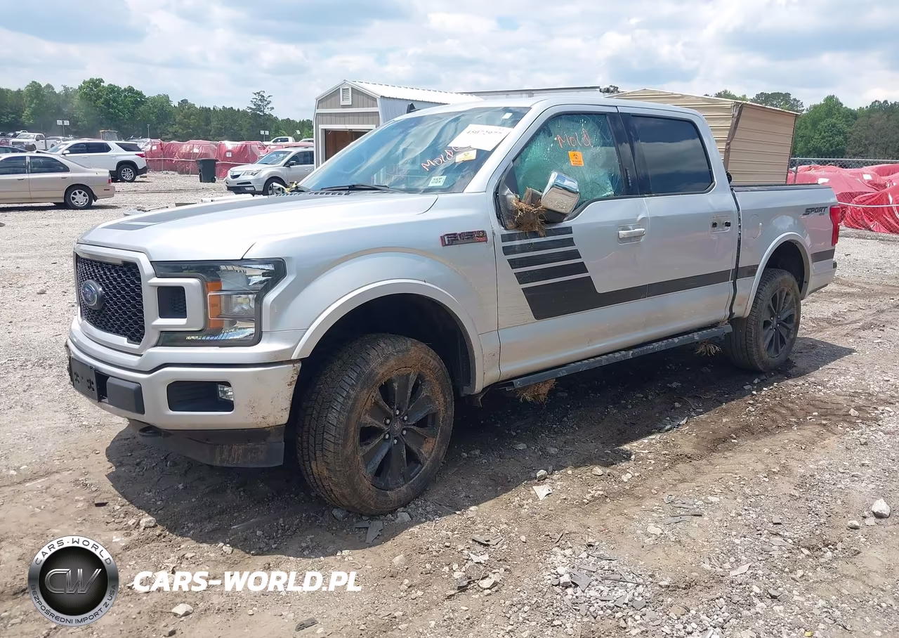2019 Ford F-150 Xlt VIN:1FTEW1E42KFA99815 - 2