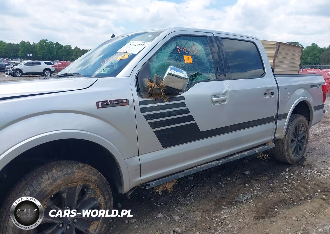 2019 Ford F-150 Xlt VIN:1FTEW1E42KFA99815 - 6