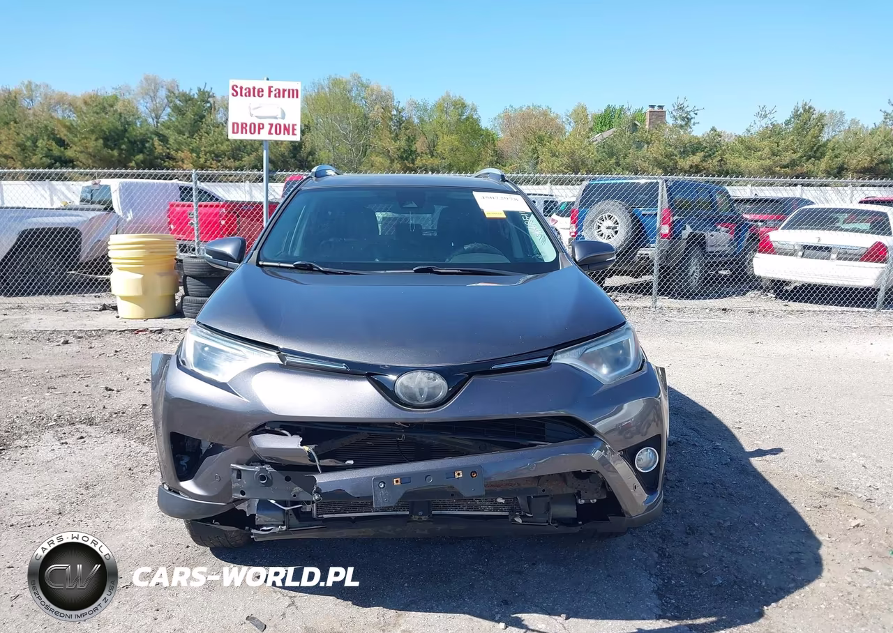 2016 Toyota Rav4 Xle VIN:2T3RFREVXGW512434 - 13
