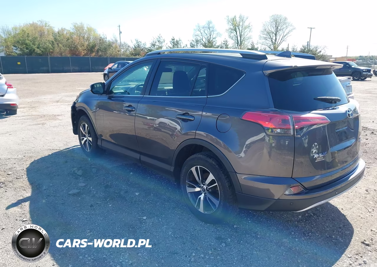 2016 Toyota Rav4 Xle VIN:2T3RFREVXGW512434 - 3
