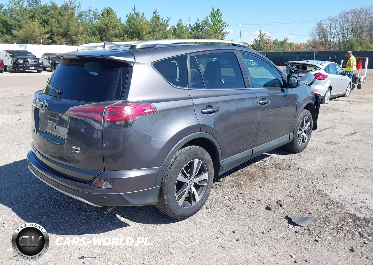 2016 Toyota Rav4 Xle VIN:2T3RFREVXGW512434 - 4