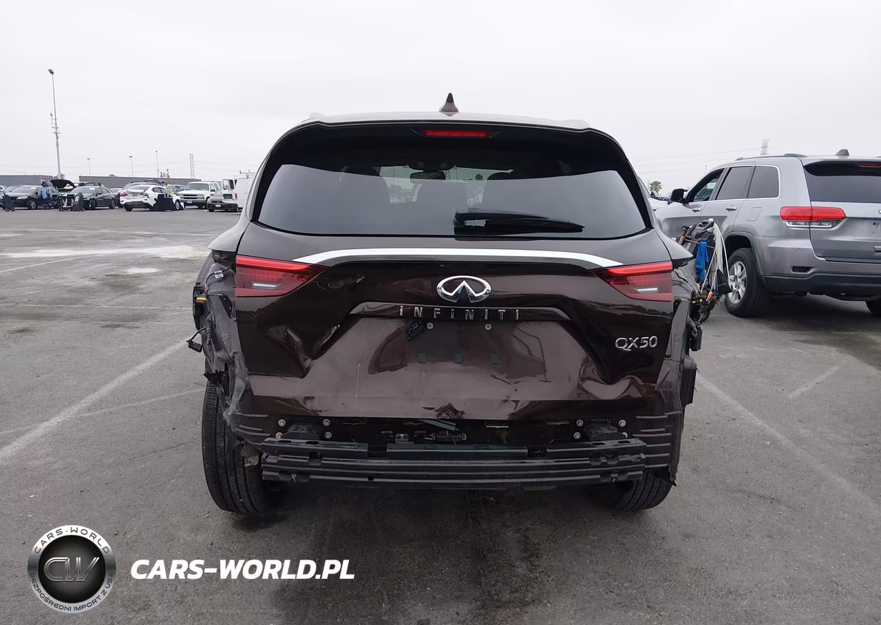 2020 Infiniti Qx50 Luxe VIN:3PCAJ5M14LF110170 - 17