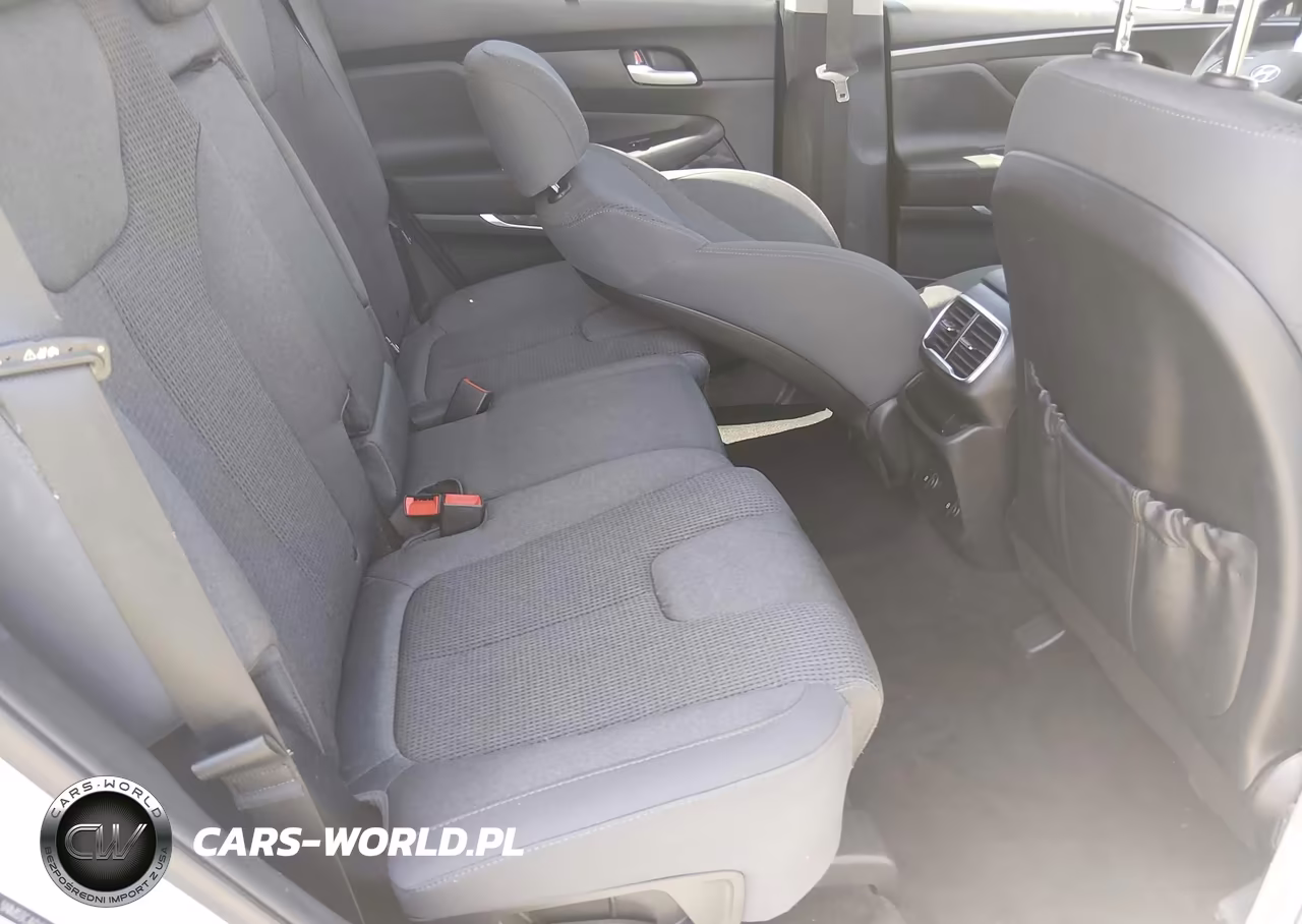 2020 Hyundai Santa Fe Sel VIN:5NMS3CAD6LH148404 - 8