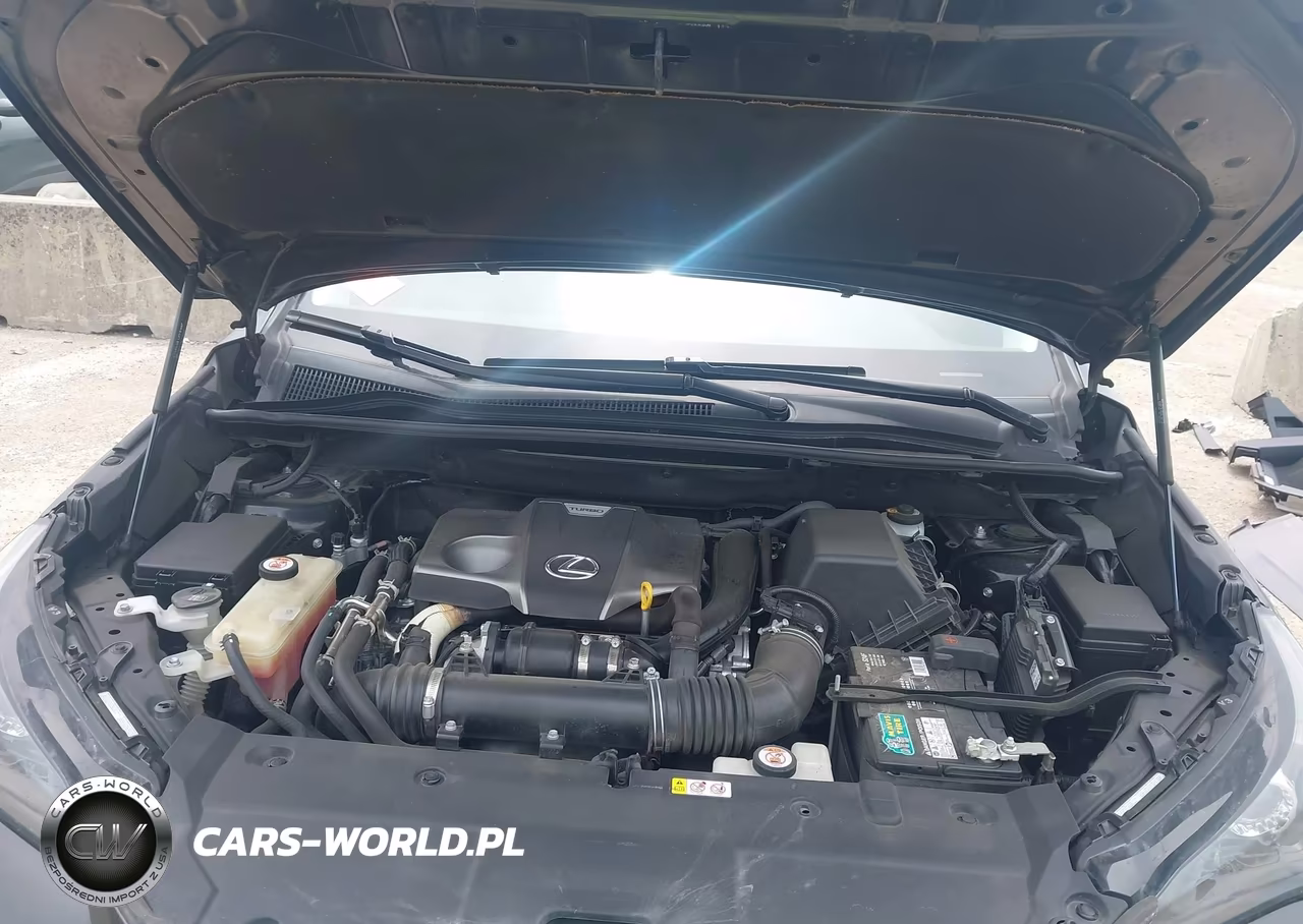 2021 Lexus Nx 300 VIN:JTJDARBZ3M2195520 - 10