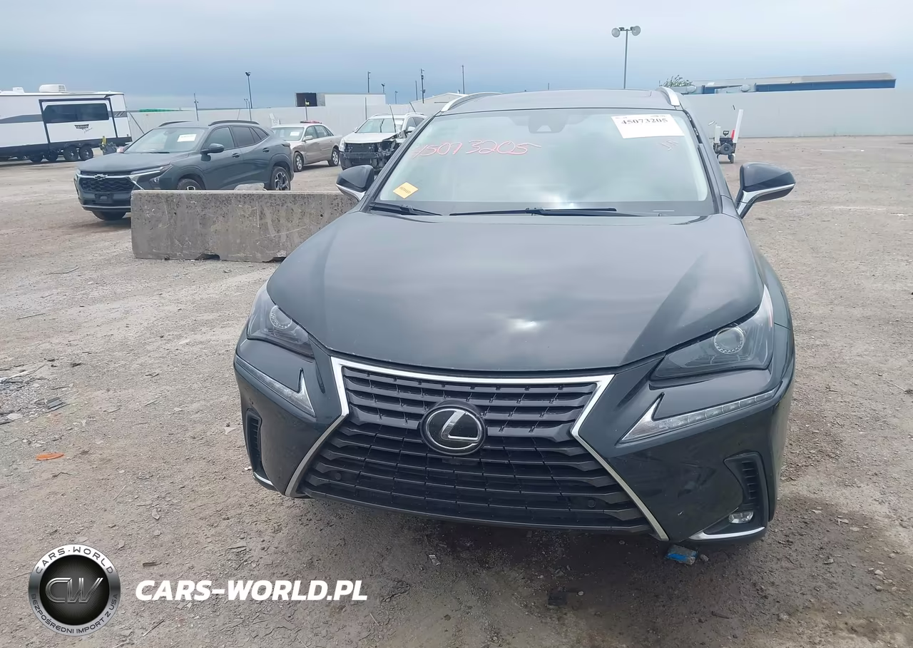 2021 Lexus Nx 300 VIN:JTJDARBZ3M2195520 - 13