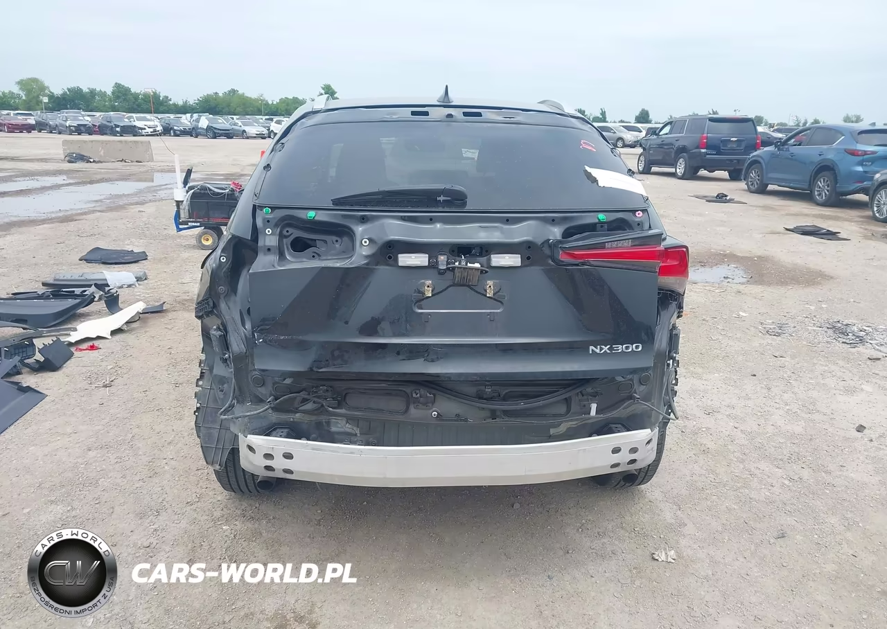 2021 Lexus Nx 300 VIN:JTJDARBZ3M2195520 - 17