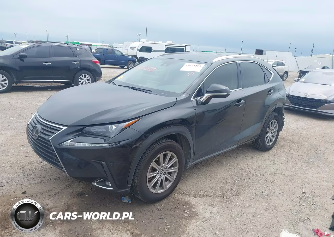 2021 Lexus Nx 300 VIN:JTJDARBZ3M2195520 - 2