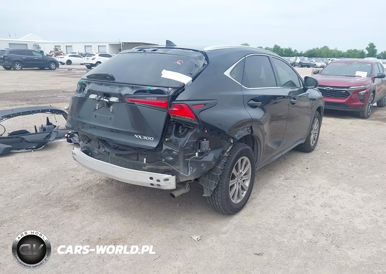 2021 Lexus Nx 300 VIN:JTJDARBZ3M2195520 - 4