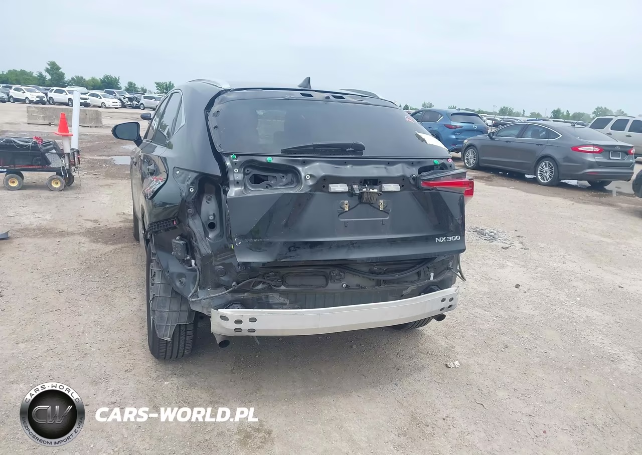 2021 Lexus Nx 300 VIN:JTJDARBZ3M2195520 - 6