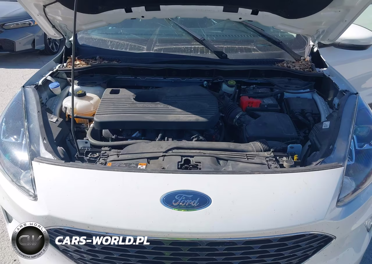2020 Ford Escape Sel VIN:1FMCU9H93LUB30811 - 10