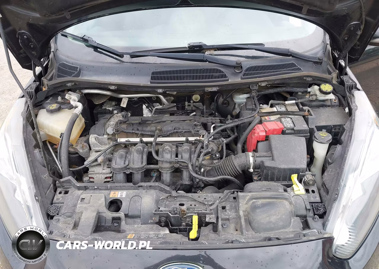 2014 Ford Fiesta Se VIN:3FADP4EJ5EM226552 - 10
