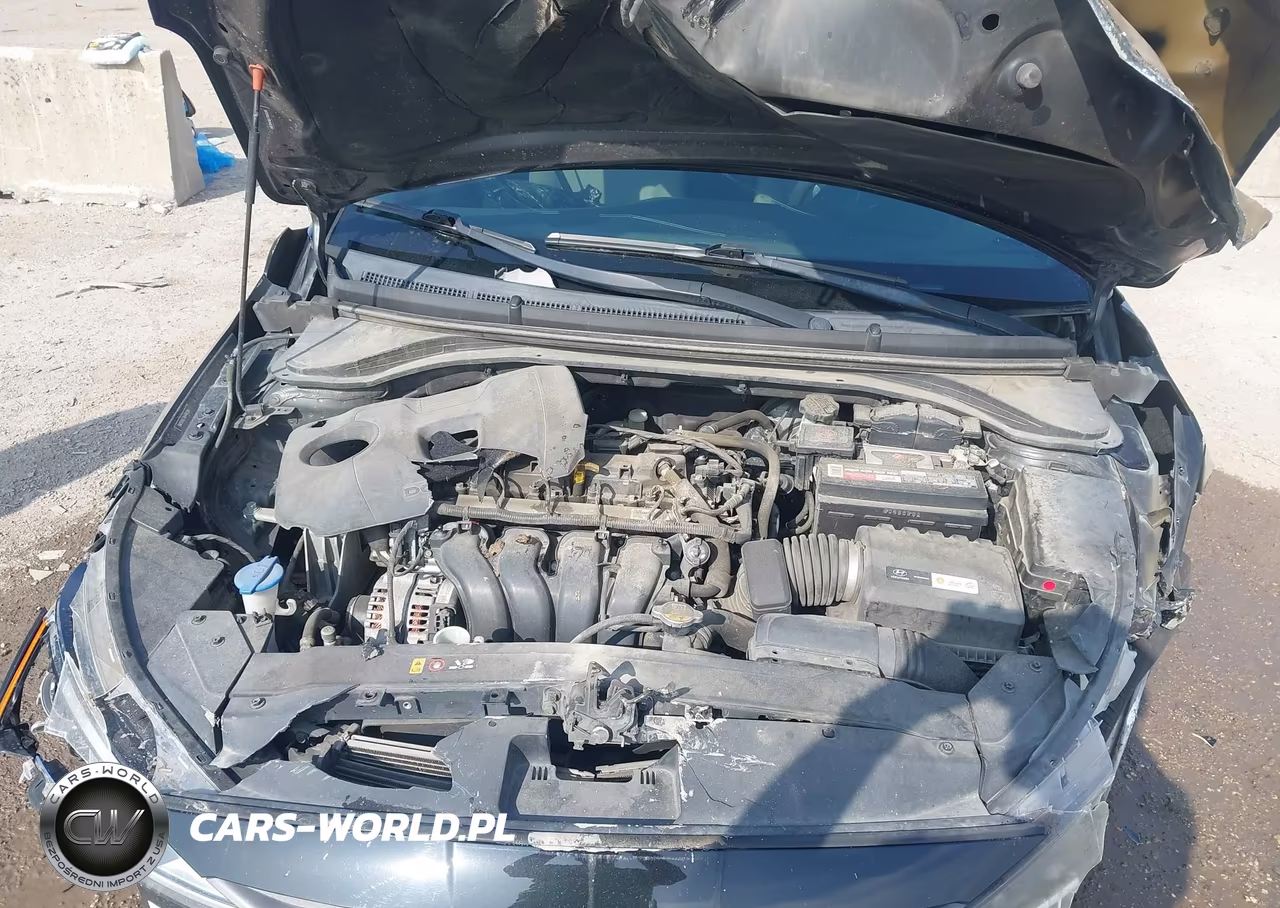 2019 Hyundai Elantra Sel VIN:5NPD84LF7KH440384 - 10