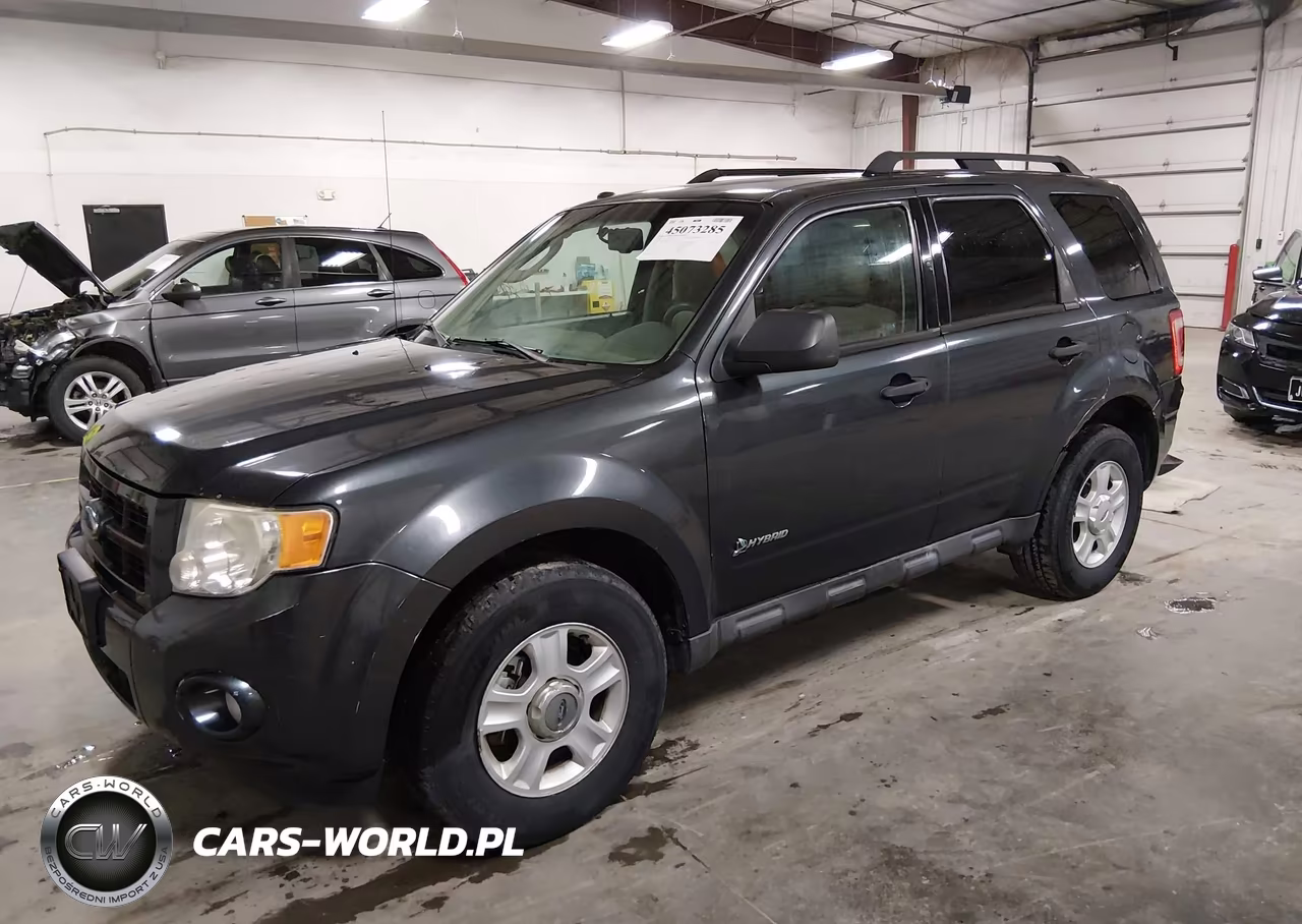 2009 Ford Escape Hybrid Limited VIN:1FMCU49399KD16113 - 2