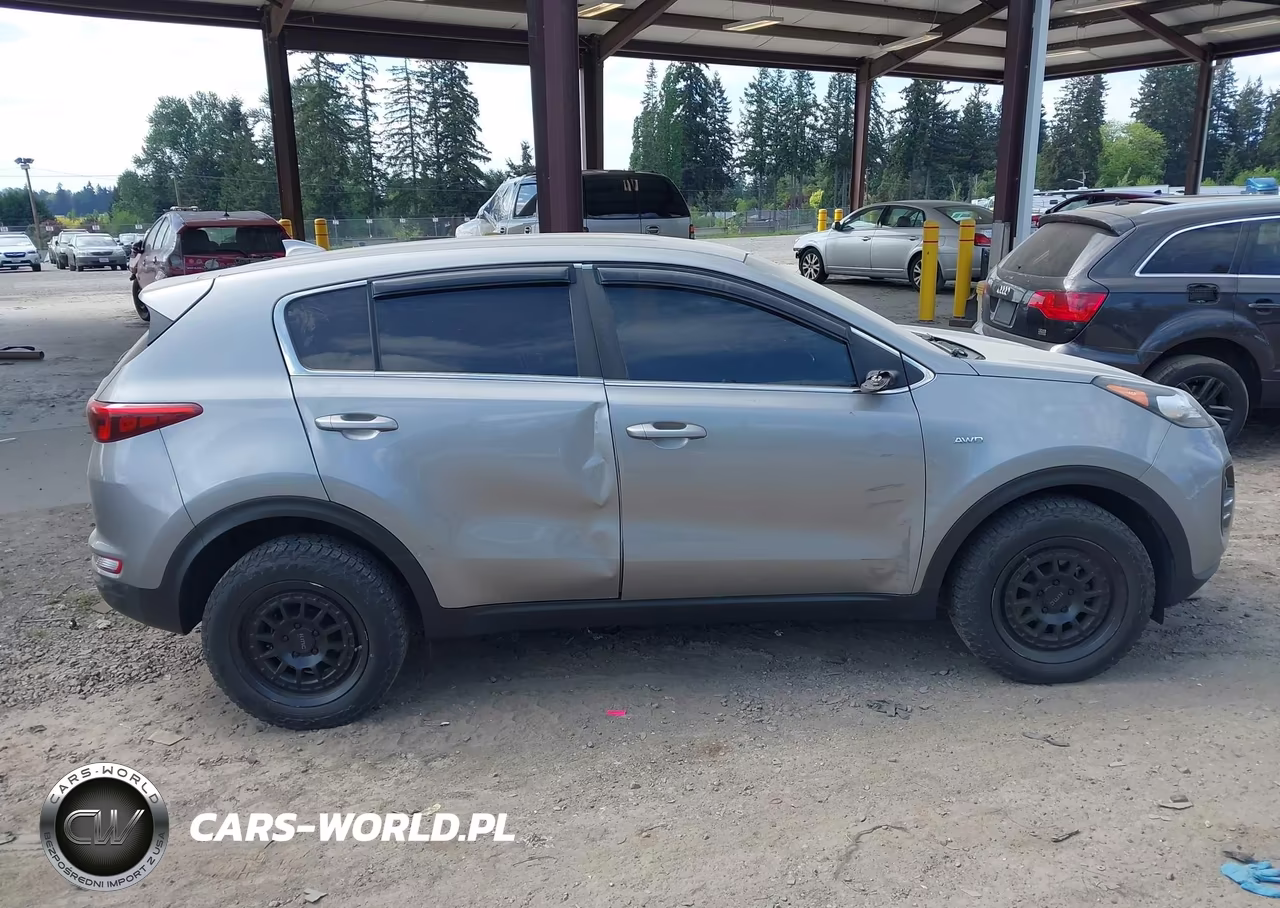 2019 Kia Sportage Lx VIN:KNDPMCAC4K7613911 - 12