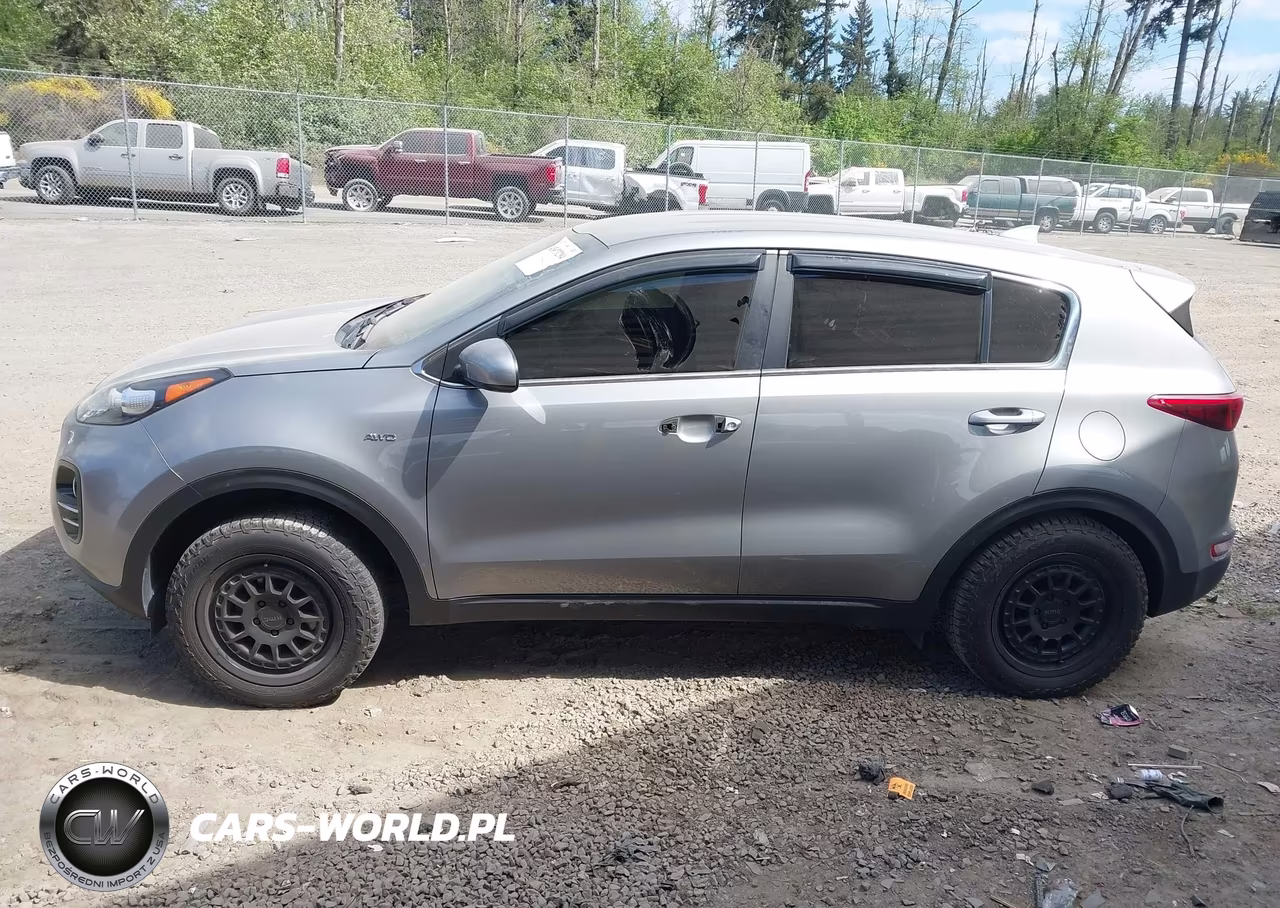 2019 Kia Sportage Lx VIN:KNDPMCAC4K7613911 - 13