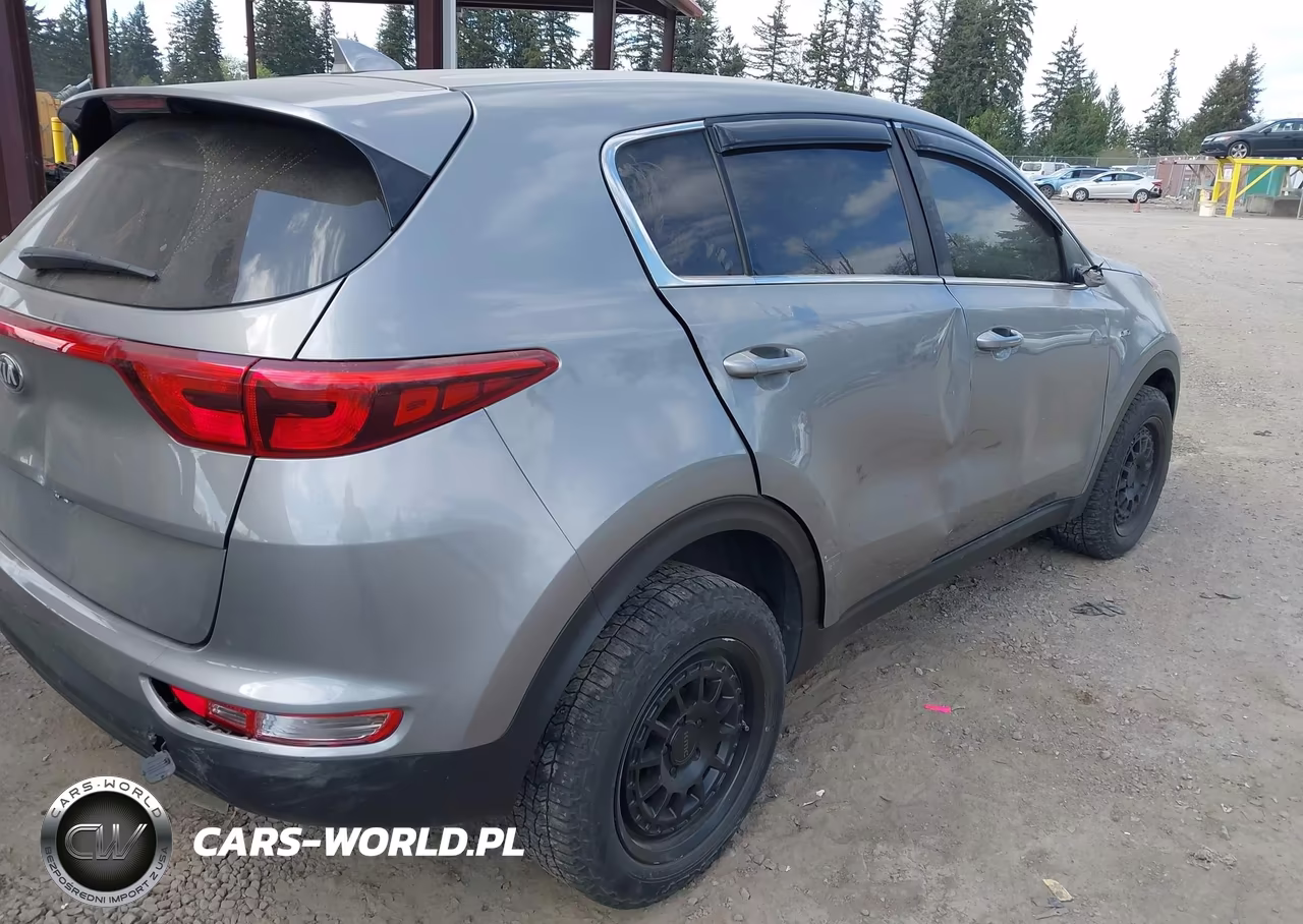 2019 Kia Sportage Lx VIN:KNDPMCAC4K7613911 - 17