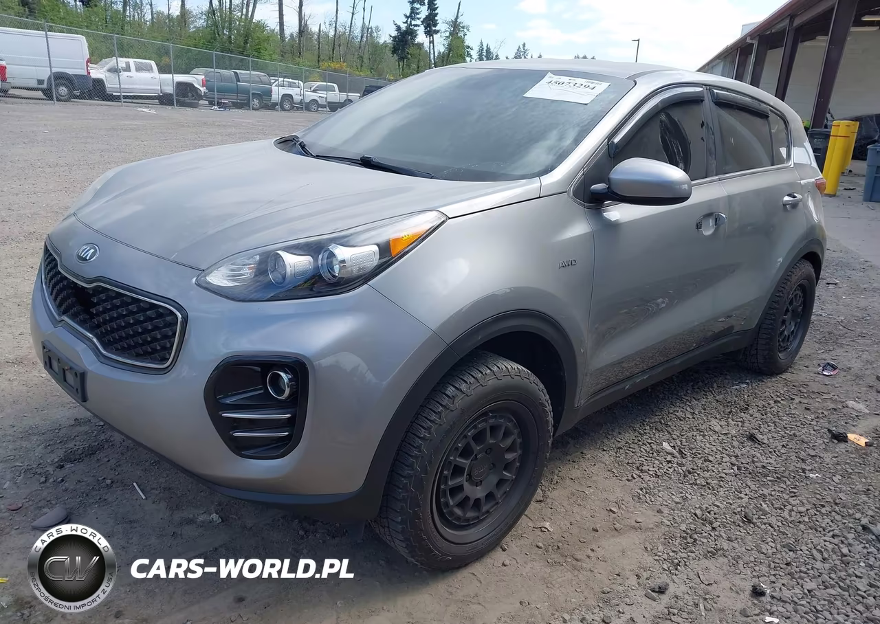 2019 Kia Sportage Lx VIN:KNDPMCAC4K7613911 - 2
