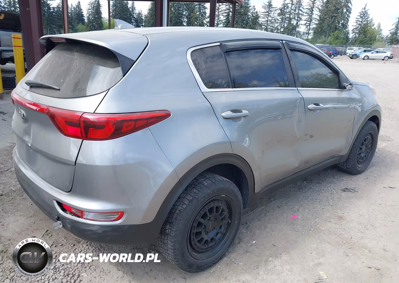 2019 Kia Sportage Lx VIN:KNDPMCAC4K7613911 - 4