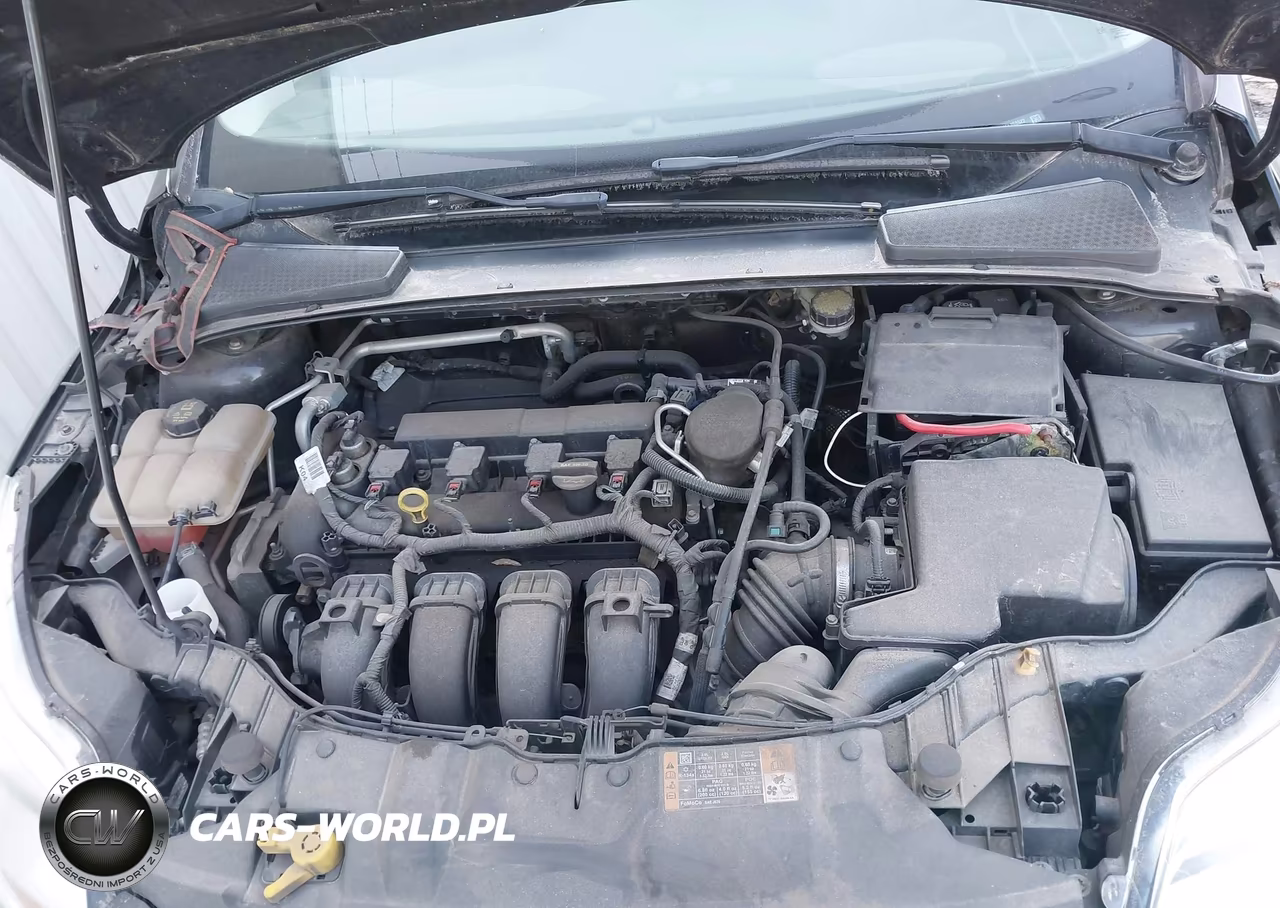 2014 Ford Focus Se VIN:1FADP3F24EL268522 - 10