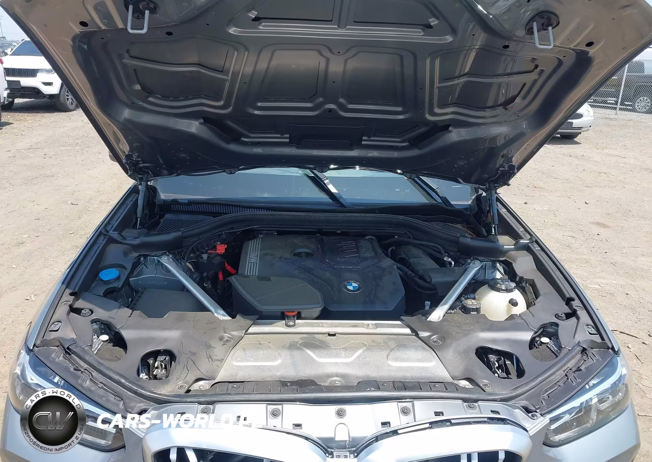 2024 BMW X3 Sdrive30I VIN:5UX43DP00R9U98519 - 10