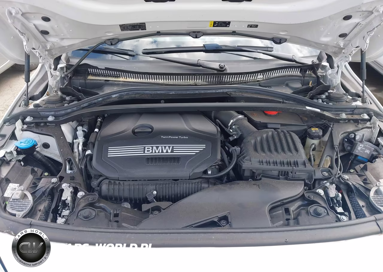 2021 BMW 228I Gran Coupe xDrive VIN:WBA73AK05M7G76403 - 10