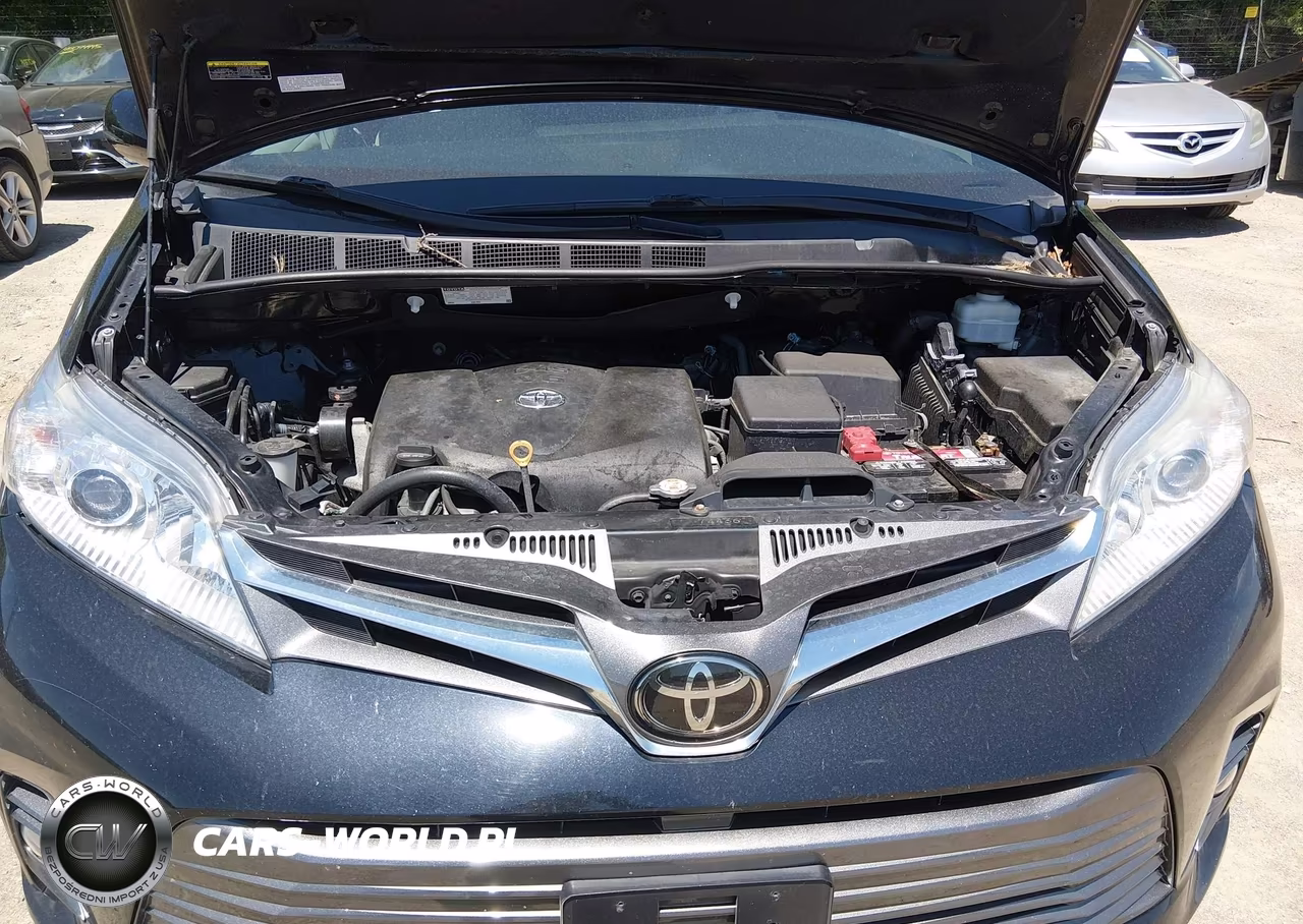 2019 Toyota Sienna Xle 7 Passenger VIN:5TDDZ3DC0KS227105 - 10