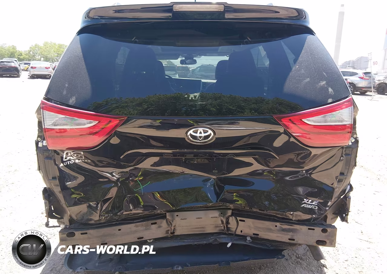 2019 Toyota Sienna Xle 7 Passenger VIN:5TDDZ3DC0KS227105 - 17