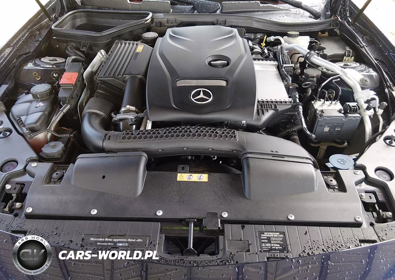 2016 Mercedes-Benz Slk 300 VIN:WDDPK3JA0GF122873 - 10
