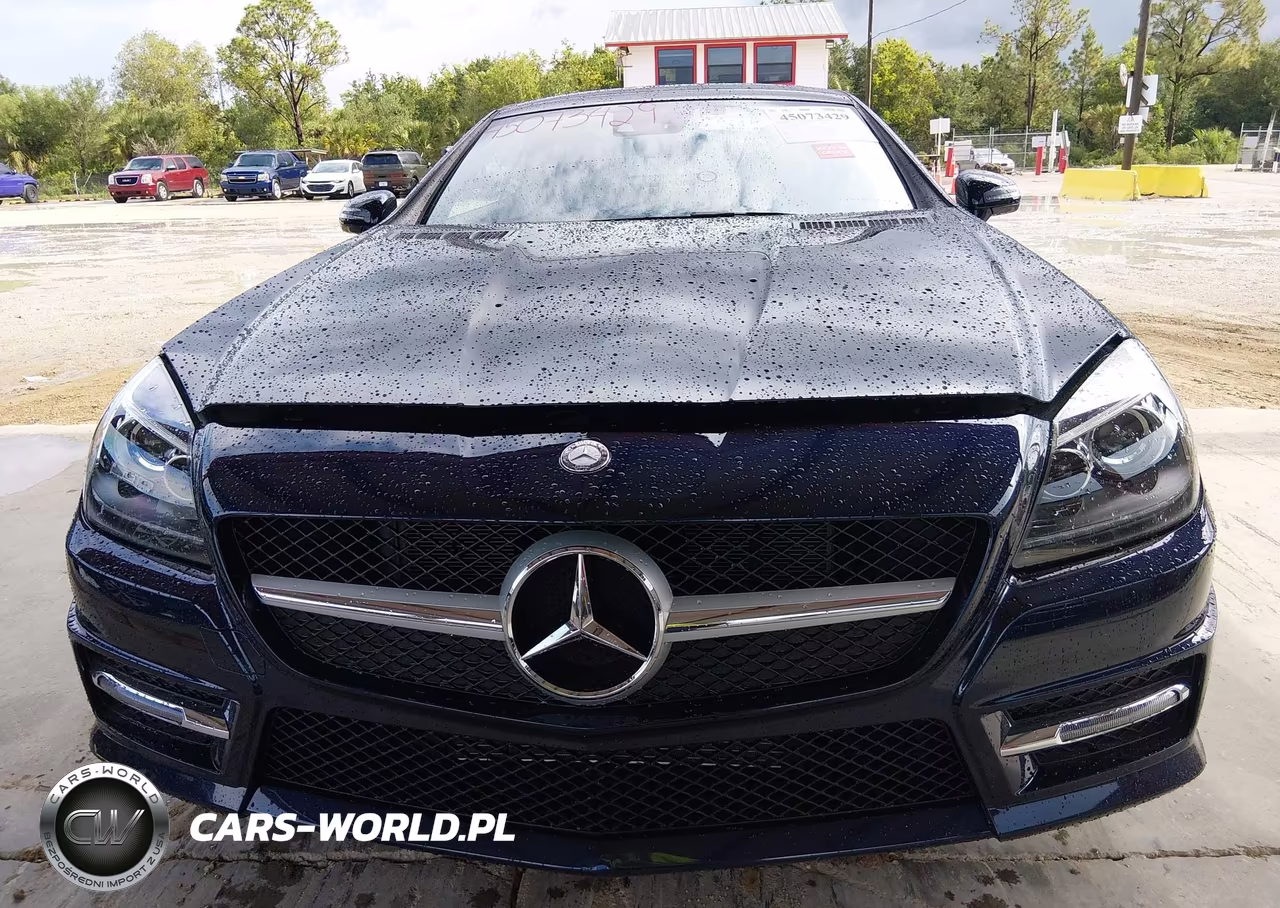 2016 Mercedes-Benz Slk 300 VIN:WDDPK3JA0GF122873 - 12