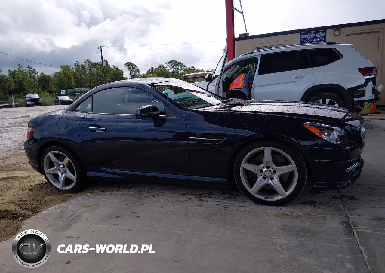 2016 Mercedes-Benz Slk 300 VIN:WDDPK3JA0GF122873 - 13