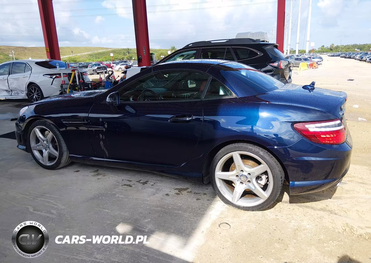 2016 Mercedes-Benz Slk 300 VIN:WDDPK3JA0GF122873 - 14