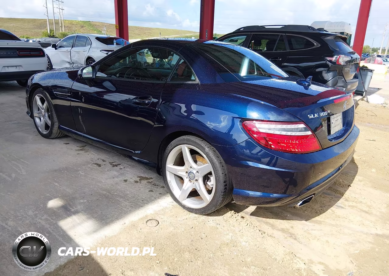 2016 Mercedes-Benz Slk 300 VIN:WDDPK3JA0GF122873 - 3