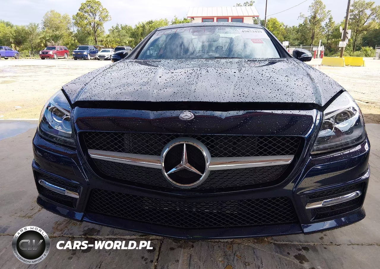 2016 Mercedes-Benz Slk 300 VIN:WDDPK3JA0GF122873 - 6