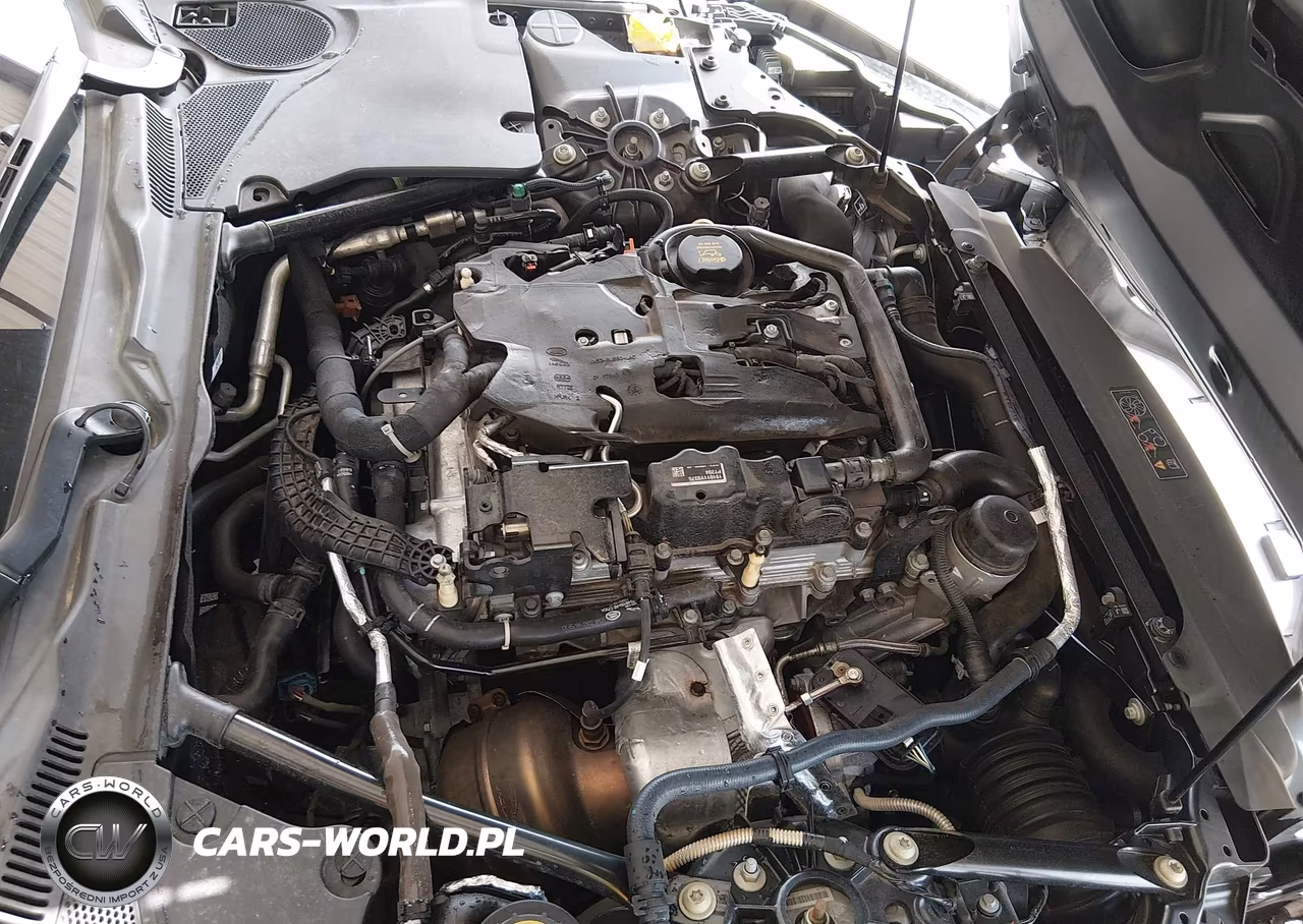 2020 Jaguar F-Type Checkered Flag Rwd Automatic-P300 Rwd Automatic VIN:SAJDD1GX0LCK68193 - 10