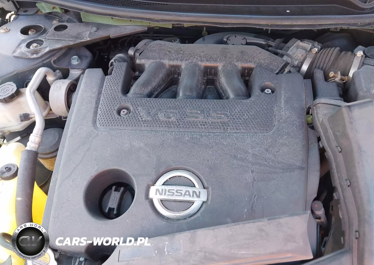 2008 Nissan Altima 3.5 Se VIN:1N4BL24E58C183610 - 10