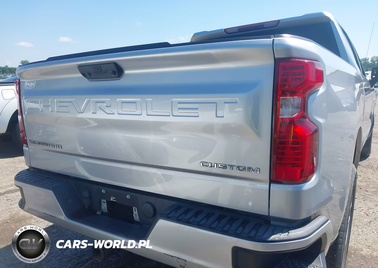 2022 Chevrolet Silverado 1500 2Wd Short Bed Custom VIN:1GCPABEK4NZ520898 - 16